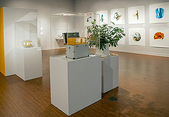 Harn Museum, Samuel P. Harn Museum of Art, The John Erickson Museum of Art (JEMA)