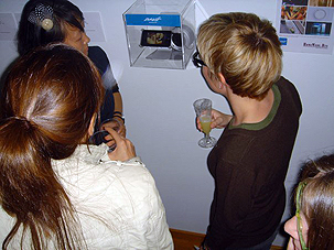 Davis Museum Showroom, Homemade Davis Museum Showroom, Homemade