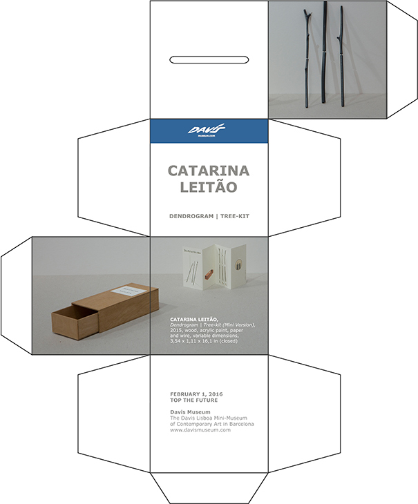CATARINA LEITÃO | DENDROGRAM | TREE-KIT (MINI VERSION)| DAVIS MUSEUM CATARINA LEITÃO | DENDROGRAM | TREE-KIT (MINI VERSION)| DAVIS MUSEUM